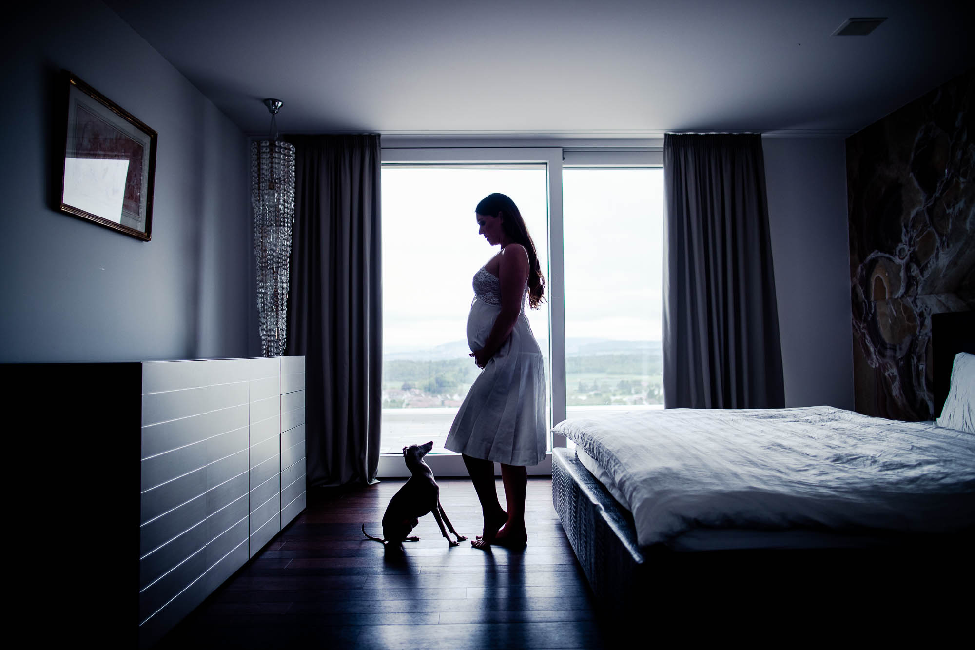 Export x3 1DX26151 Fotoshooting 2020 Zito